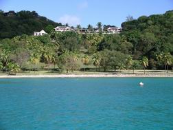 Mustique - Nat swimming