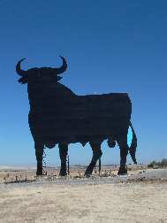 Bull Andalucia