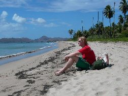 Tris at Pinneys Beach Nevis